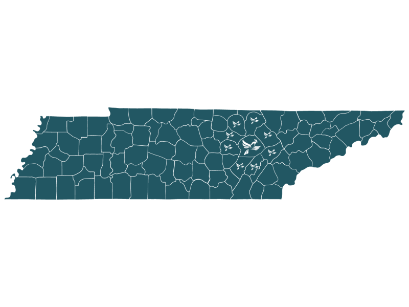 TN Map with Affordable Assist County Service Area